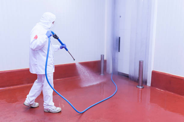 Best Pre-Holiday Cleaning  in Stanton, MI