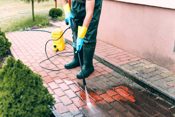Best Sidewalk and Walkway Cleaning  in Stanton, MI