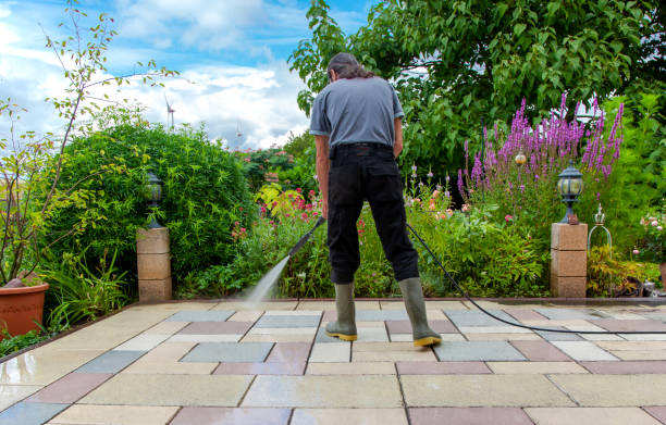 Best Restaurant Pressure Washing  in Stanton, MI