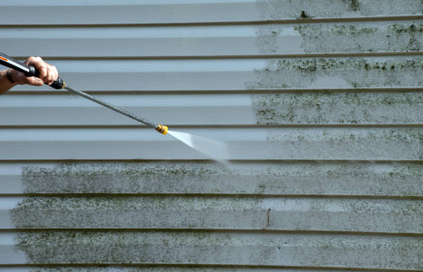 Best Warehouse Cleaning  in Stanton, MI