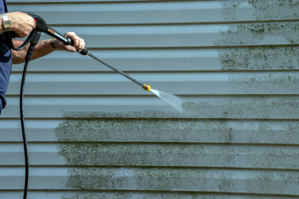 Best Sign and Awning Cleaning  in Stanton, MI