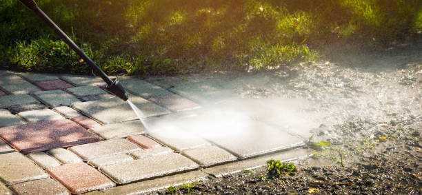 Best House Exterior Washing  in Stanton, MI