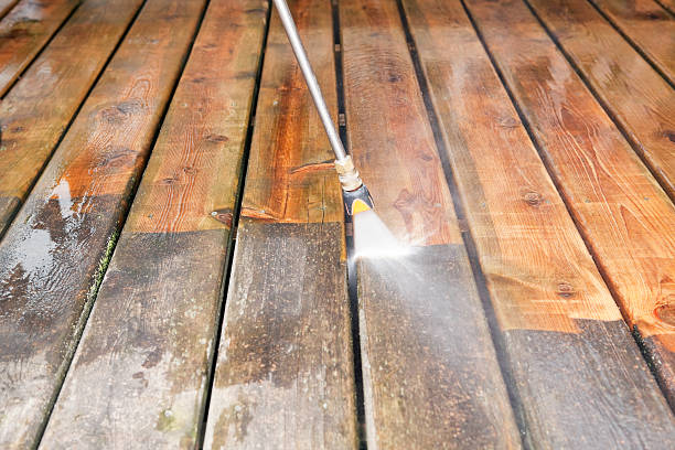 Best Driveway Pressure Washing  in Stanton, MI