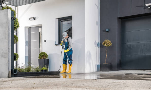 Best Paint Preparation  in Stanton, MI