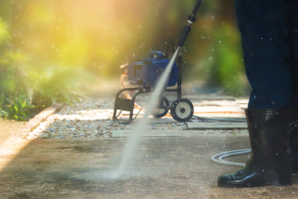 Best Gutter Cleaning  in Stanton, MI